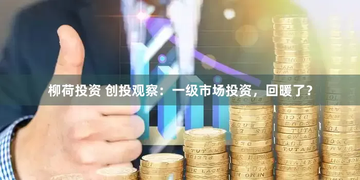 柳荷投资 创投观察：一级市场投资，回暖了？