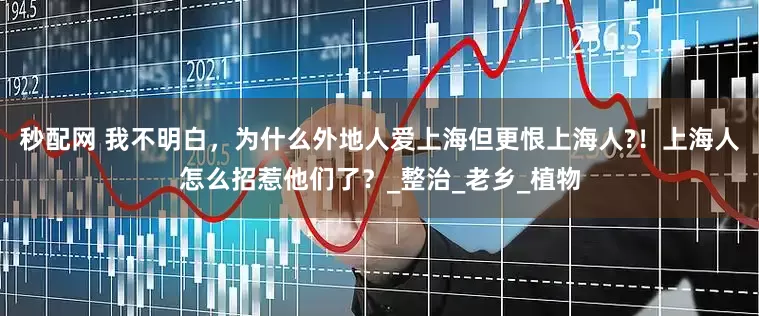 秒配网 我不明白，为什么外地人爱上海但更恨上海人?！上海人怎么招惹他们了？_整治_老乡_植物