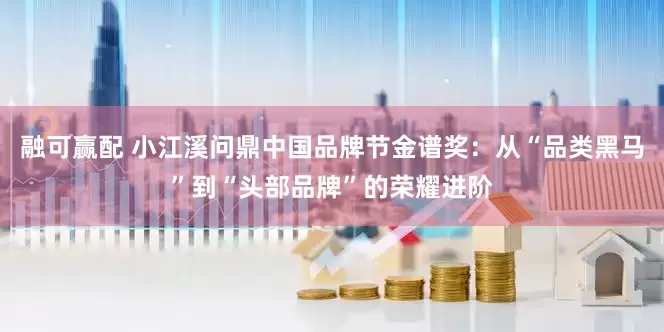 融可赢配 小江溪问鼎中国品牌节金谱奖:从“品类黑马”到“头部品牌”的荣耀进阶